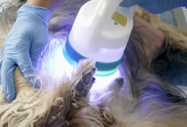 Fonctionnement de la photobiomodulation LED